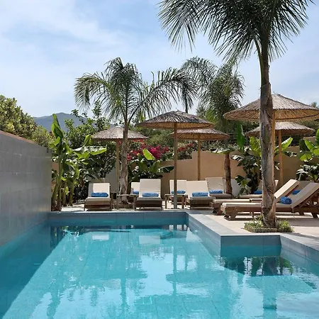 Apartament Dionysia S4 Alykanas (Zakynthos)